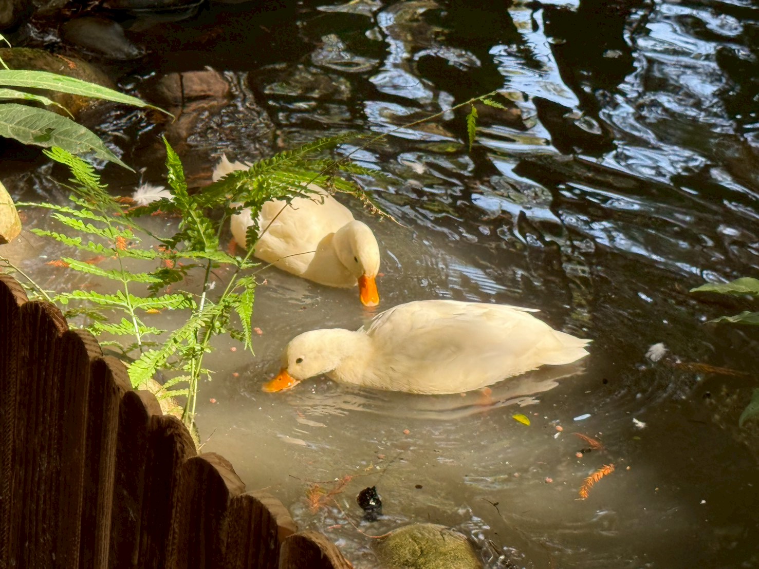 LINE_ALBUM_享自在_251212_1